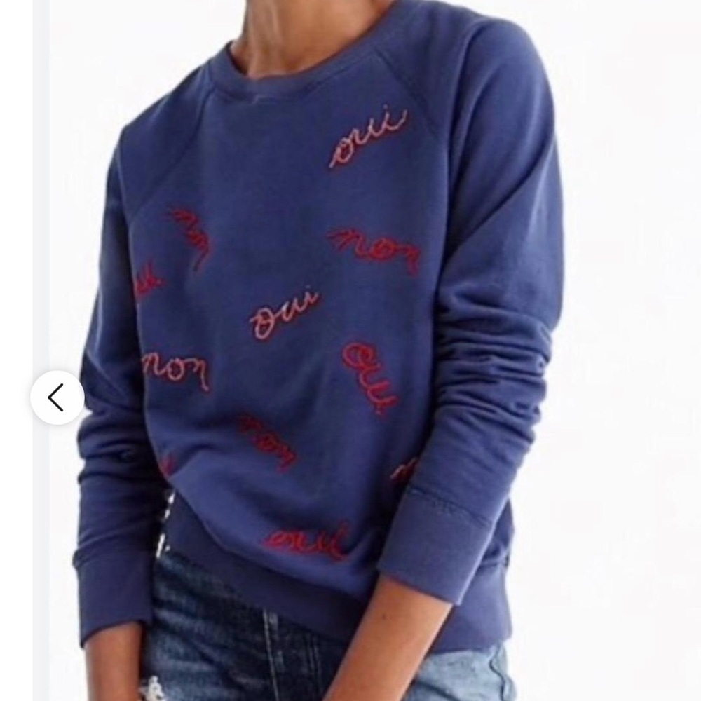 Blue Embroidered Crewneck Sweater - Men